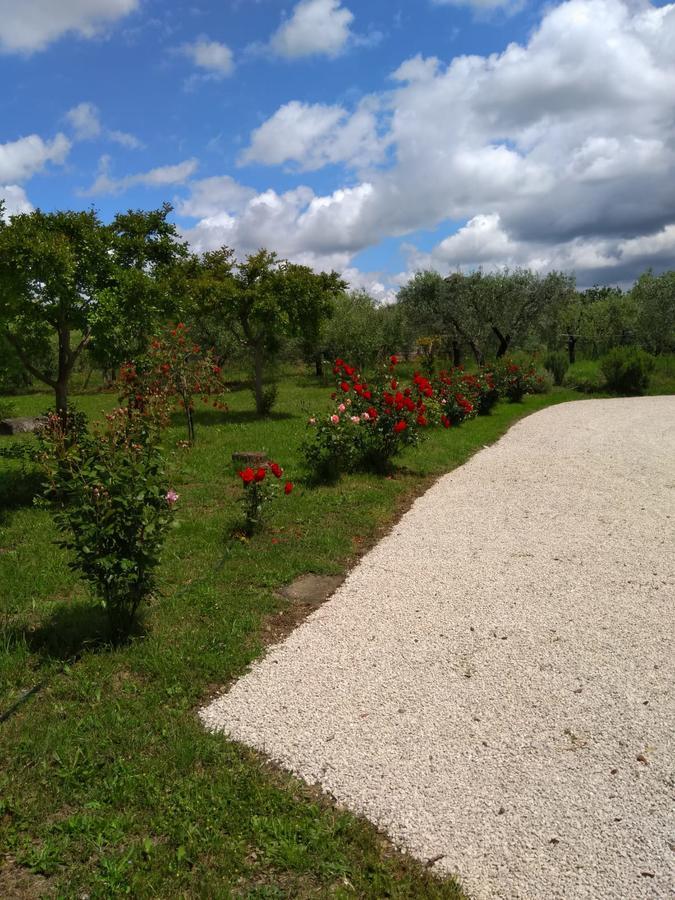 Casa Vacanze Le Rose Ariccia Esterno foto