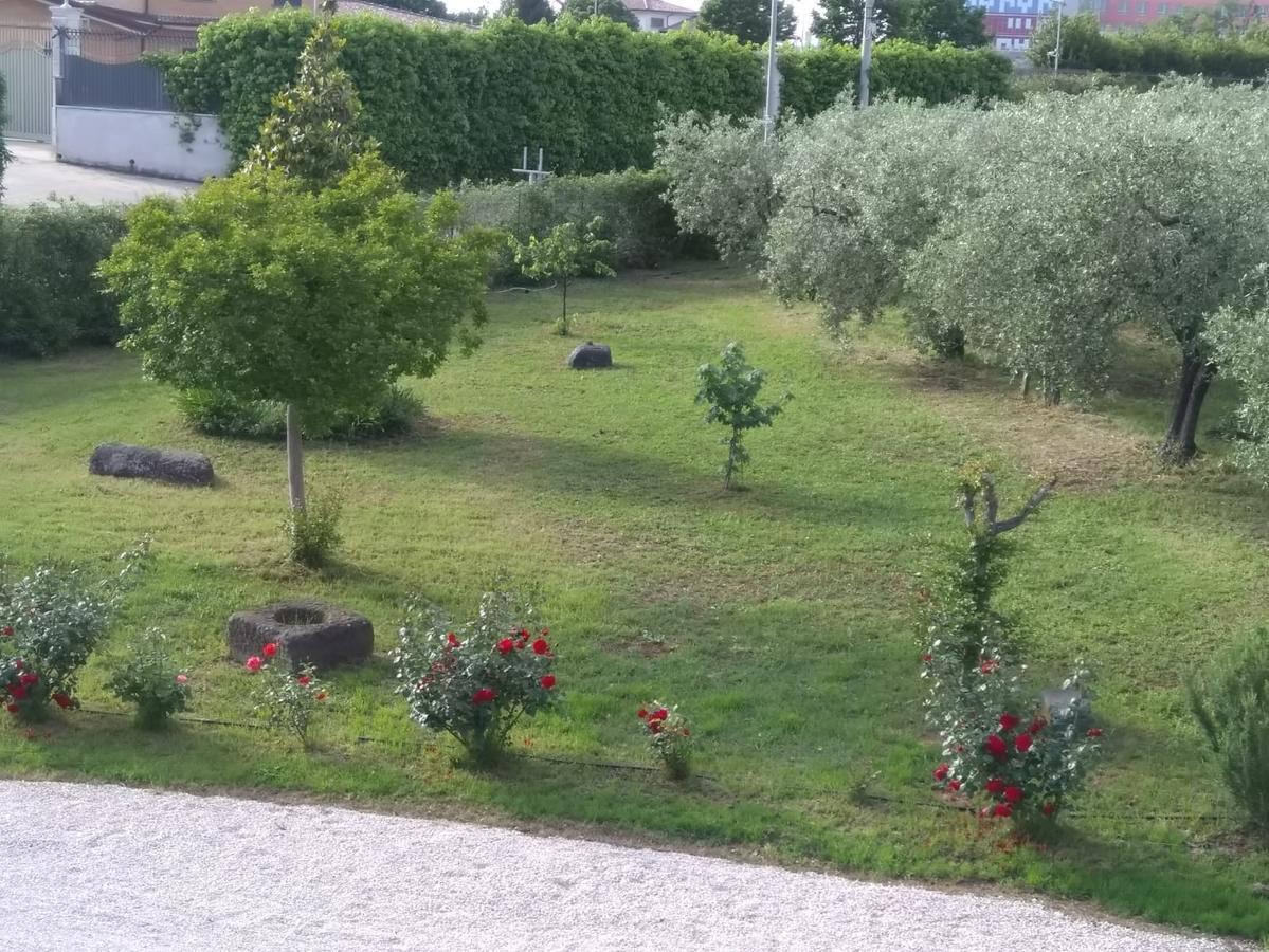 Casa Vacanze Le Rose Ariccia Esterno foto