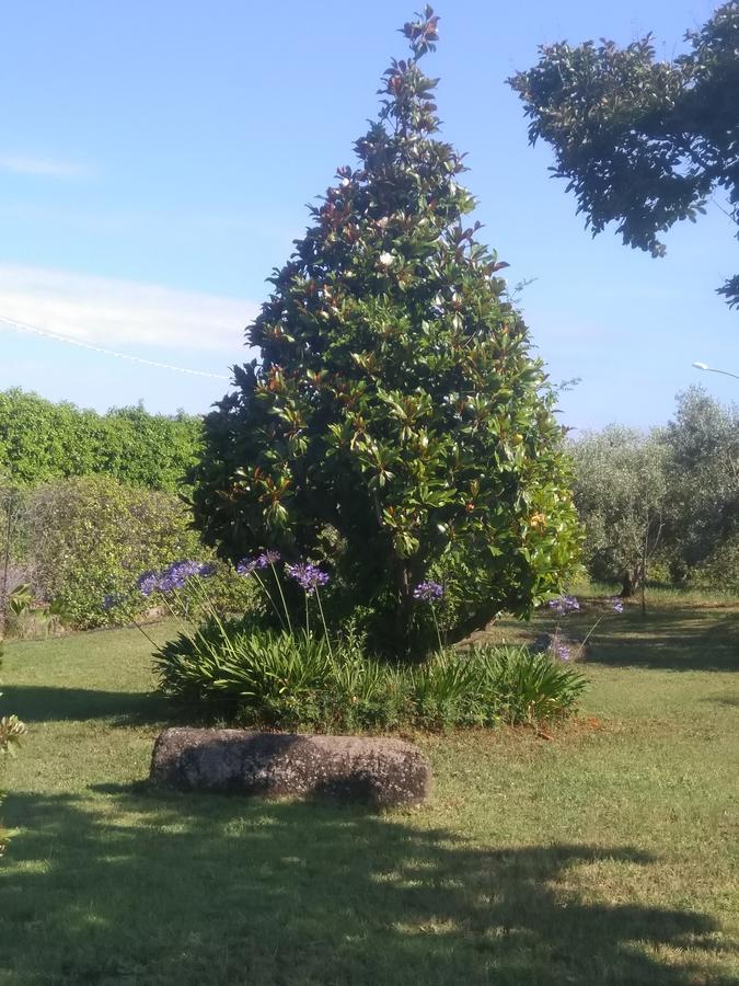 Casa Vacanze Le Rose Ariccia Esterno foto
