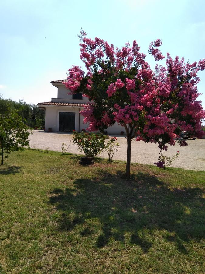 Casa Vacanze Le Rose Ariccia Esterno foto